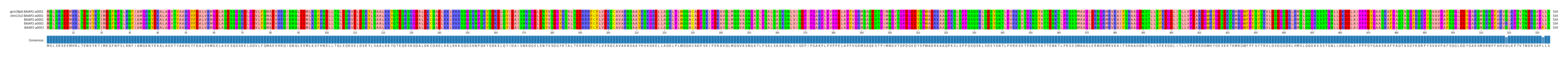 Multiple Alignments (by translate haplotype frequency)