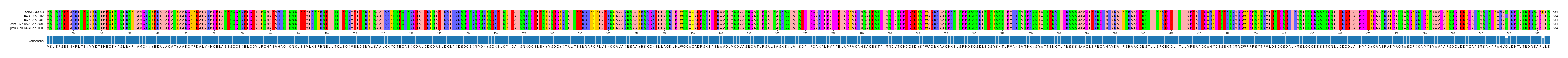 Multiple Alignments (by translate haplotype similarity)