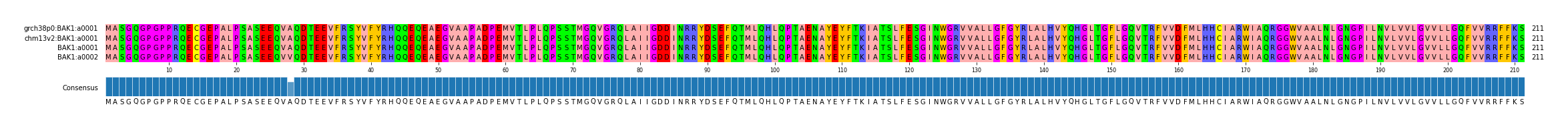 Multiple Alignments (by translate haplotype frequency)