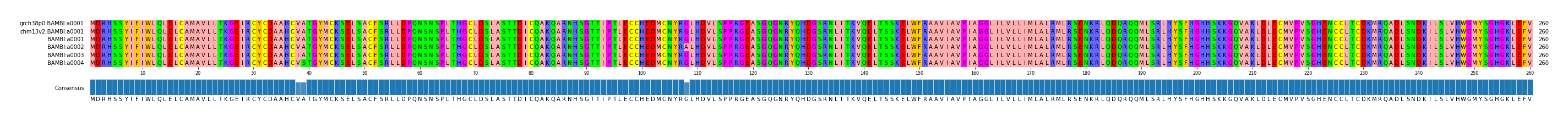Multiple Alignments (by translate haplotype frequency)