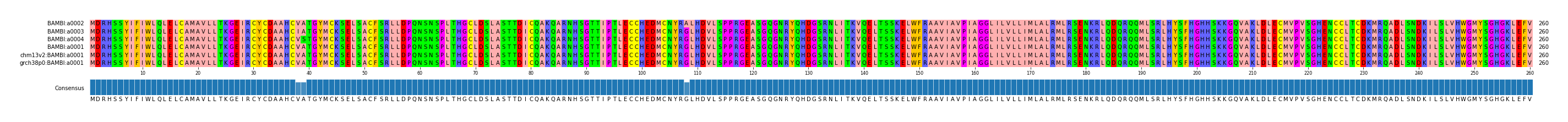 Multiple Alignments (by translate haplotype similarity)