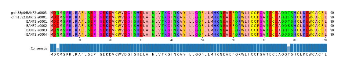 Multiple Alignments (by translate haplotype frequency)