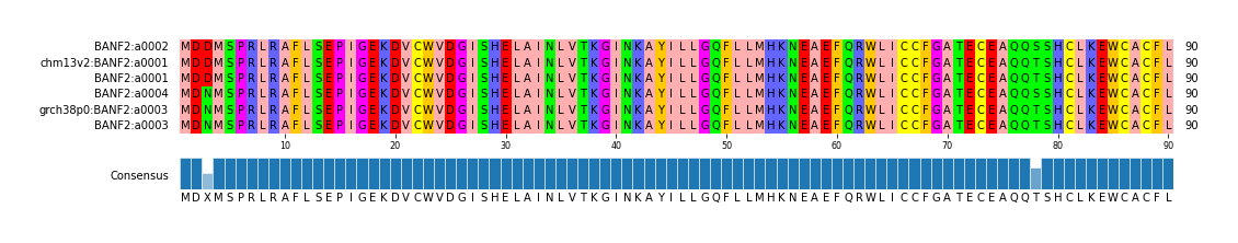 Multiple Alignments (by translate haplotype similarity)