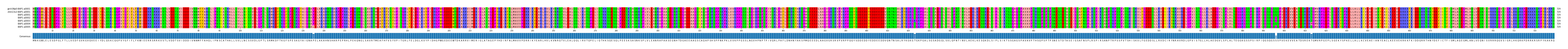 Multiple Alignments (by translate haplotype frequency)