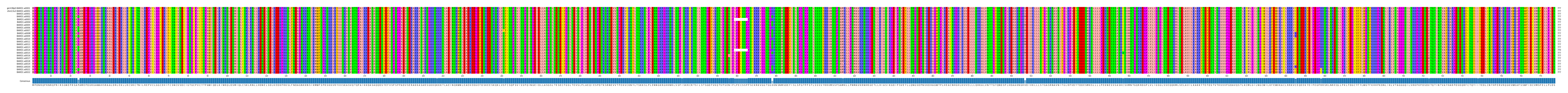Multiple Alignments (by translate haplotype frequency)