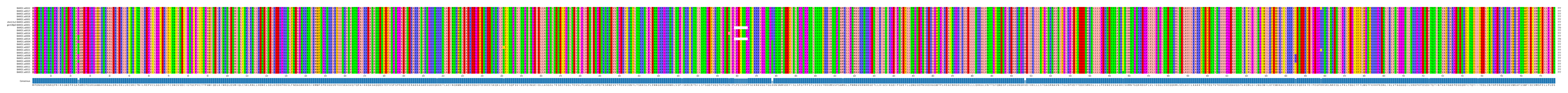 Multiple Alignments (by translate haplotype similarity)