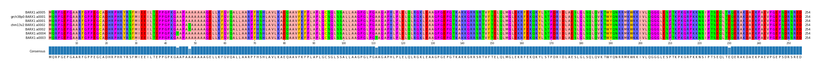 Multiple Alignments (by translate haplotype similarity)