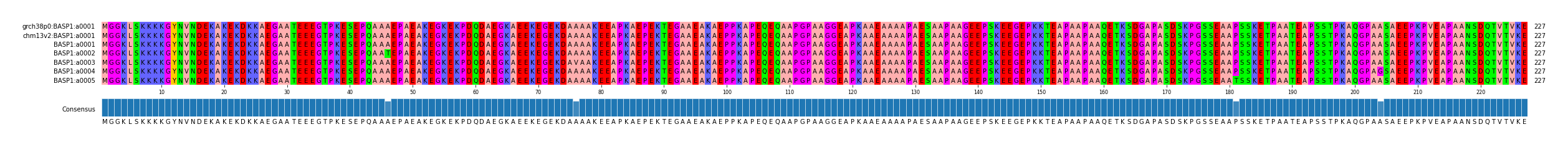 Multiple Alignments (by translate haplotype frequency)