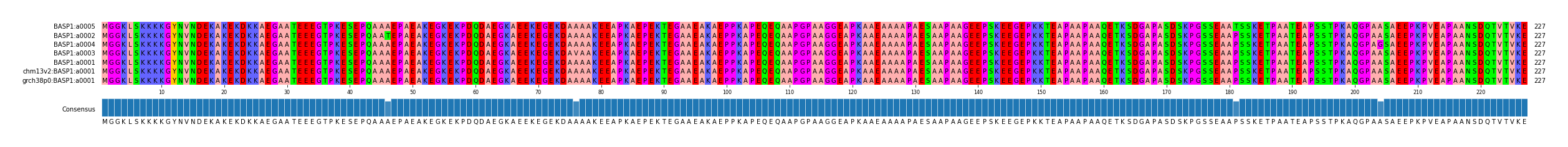 Multiple Alignments (by translate haplotype similarity)