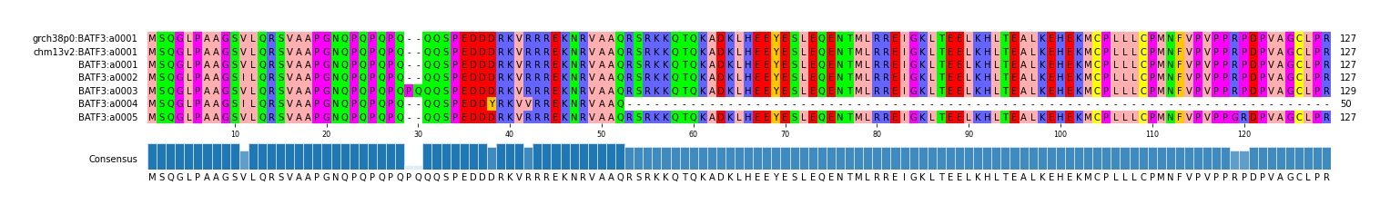 Multiple Alignments (by translate haplotype frequency)