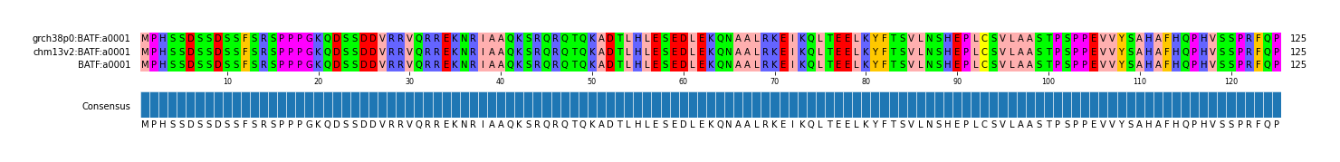 Multiple Alignments (by translate haplotype similarity)