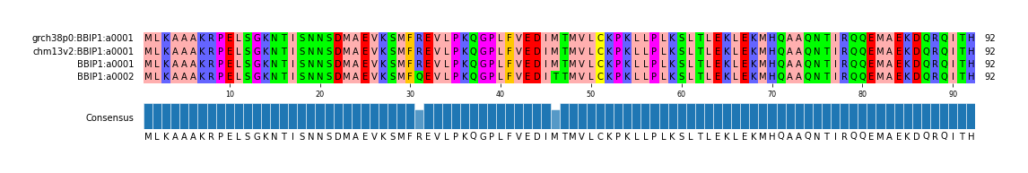 Multiple Alignments (by translate haplotype similarity)