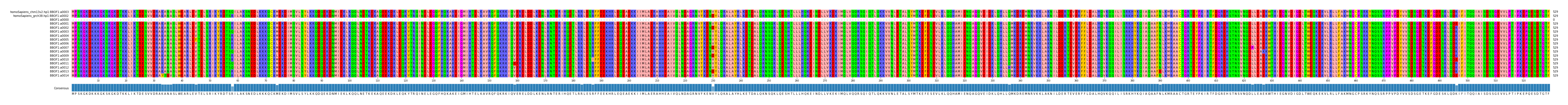 Multiple Alignments (by translate haplotype frequency)