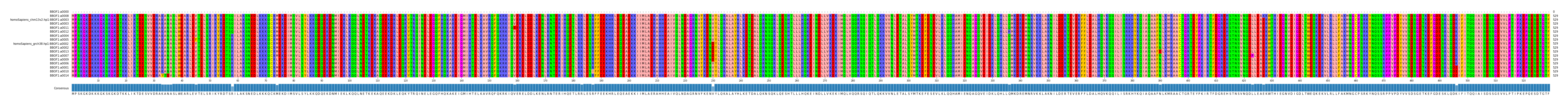 Multiple Alignments (by translate haplotype similarity)