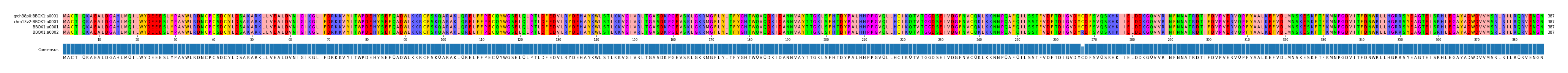 Multiple Alignments (by translate haplotype frequency)