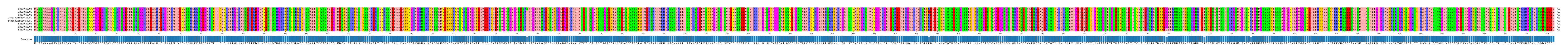 Multiple Alignments (by translate haplotype similarity)