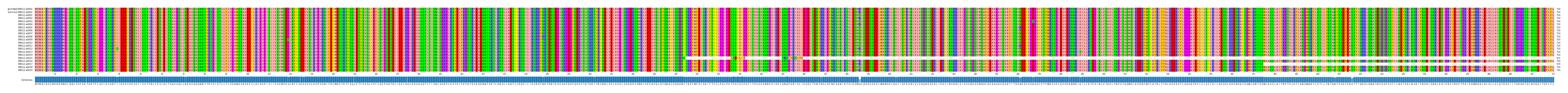 Multiple Alignments (by translate haplotype frequency)