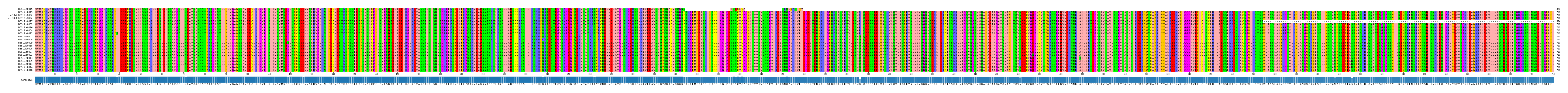 Multiple Alignments (by translate haplotype similarity)
