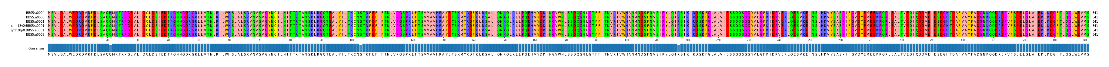 Multiple Alignments (by translate haplotype similarity)