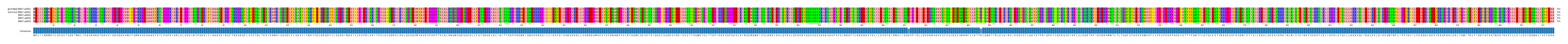 Multiple Alignments (by translate haplotype frequency)