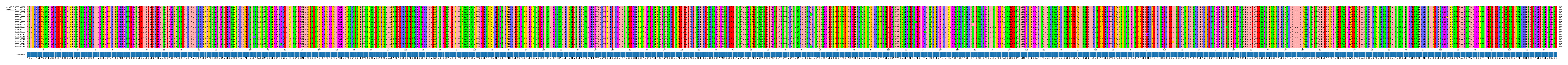 Multiple Alignments (by translate haplotype frequency)