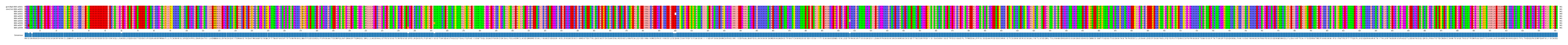 Multiple Alignments (by translate haplotype frequency)