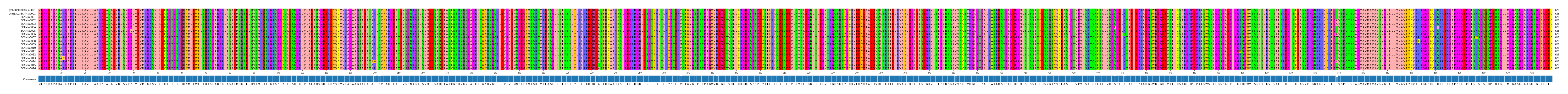 Multiple Alignments (by translate haplotype frequency)