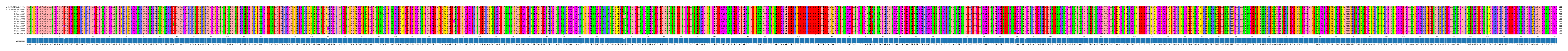 Multiple Alignments (by translate haplotype frequency)