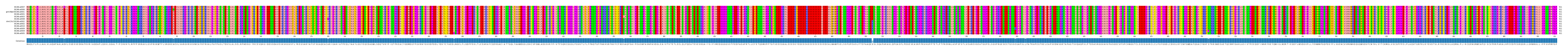 Multiple Alignments (by translate haplotype similarity)
