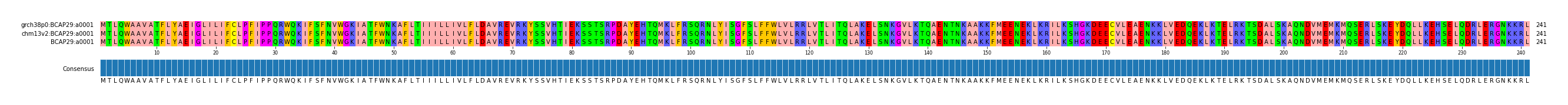 Multiple Alignments (by translate haplotype similarity)