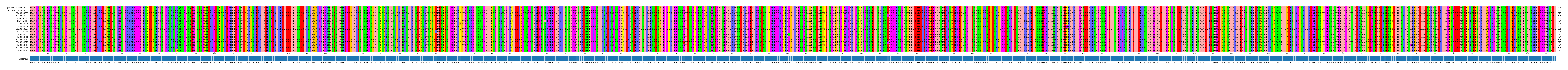 Multiple Alignments (by translate haplotype frequency)