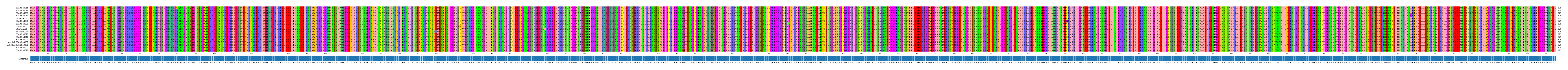 Multiple Alignments (by translate haplotype similarity)