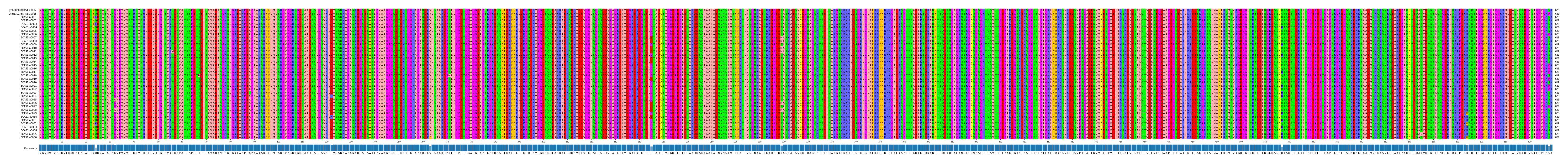 Multiple Alignments (by translate haplotype frequency)