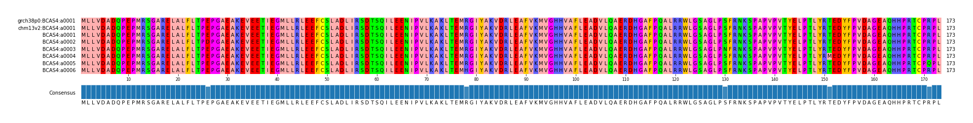 Multiple Alignments (by translate haplotype frequency)
