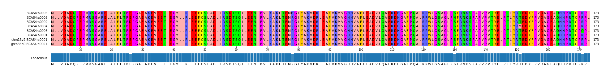 Multiple Alignments (by translate haplotype similarity)