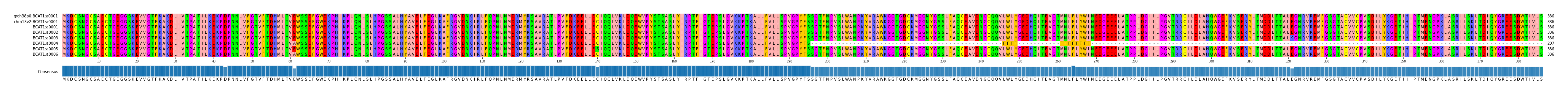 Multiple Alignments (by translate haplotype frequency)