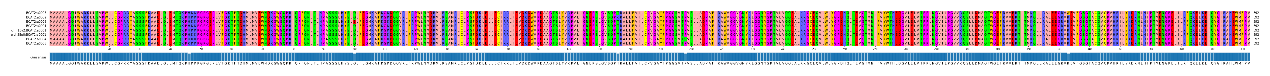 Multiple Alignments (by translate haplotype similarity)