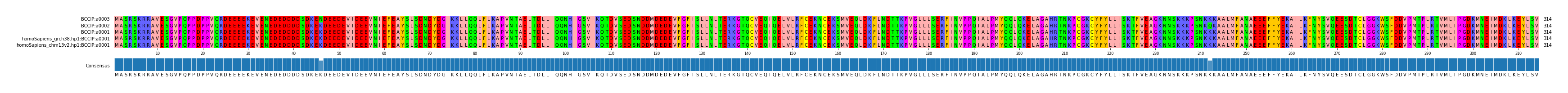 Multiple Alignments (by translate haplotype similarity)