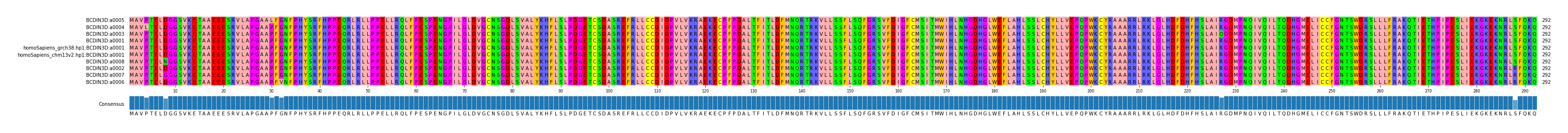 Multiple Alignments (by translate haplotype similarity)