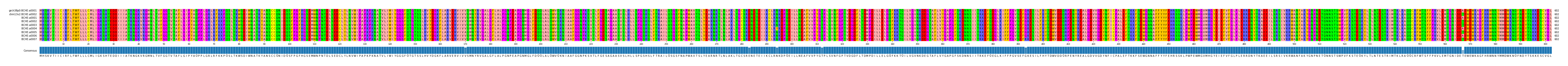 Multiple Alignments (by translate haplotype frequency)