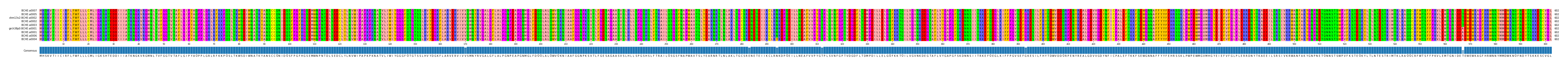 Multiple Alignments (by translate haplotype similarity)