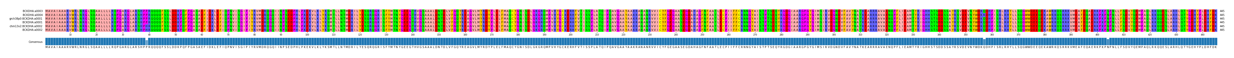 Multiple Alignments (by translate haplotype similarity)