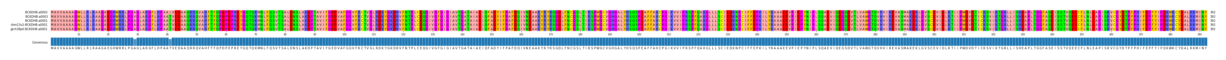 Multiple Alignments (by translate haplotype similarity)