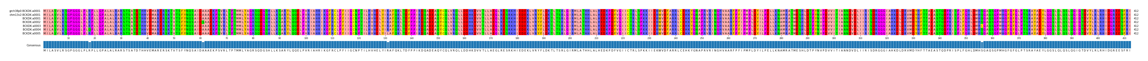 Multiple Alignments (by translate haplotype frequency)