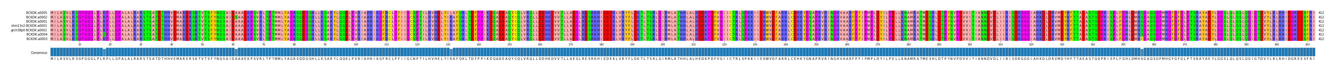 Multiple Alignments (by translate haplotype similarity)