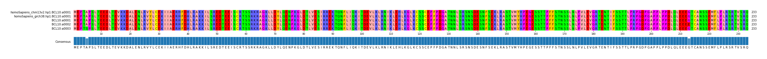 Multiple Alignments (by translate haplotype frequency)