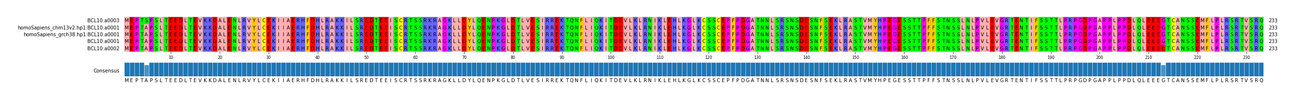 Multiple Alignments (by translate haplotype similarity)