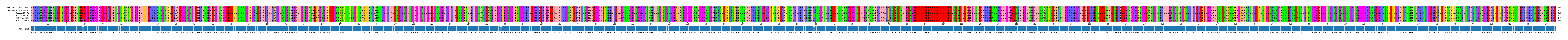 Multiple Alignments (by translate haplotype frequency)