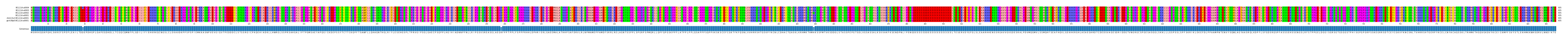 Multiple Alignments (by translate haplotype similarity)
