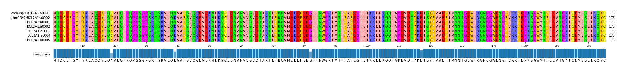Multiple Alignments (by translate haplotype frequency)